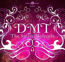 DMT_